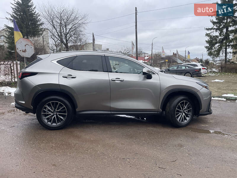 Внедорожник / Кроссовер Lexus NX 2023 в Самборе фото 5 Внедорожник / Кроссовер Lexus NX 2023 в Самборе