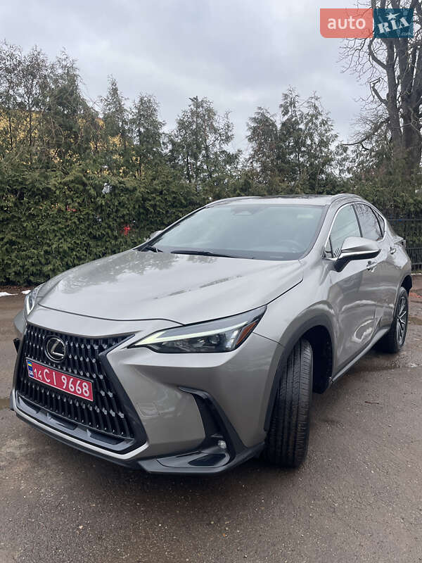Внедорожник / Кроссовер Lexus NX 2023 в Самборе фото 11 Внедорожник / Кроссовер Lexus NX 2023 в Самборе