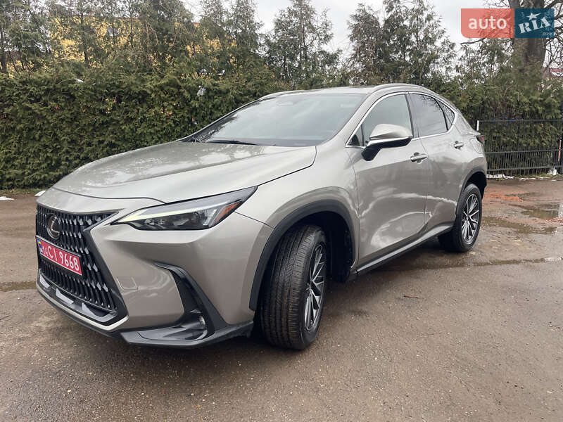 Внедорожник / Кроссовер Lexus NX 2023 в Самборе фото 10 Внедорожник / Кроссовер Lexus NX 2023 в Самборе