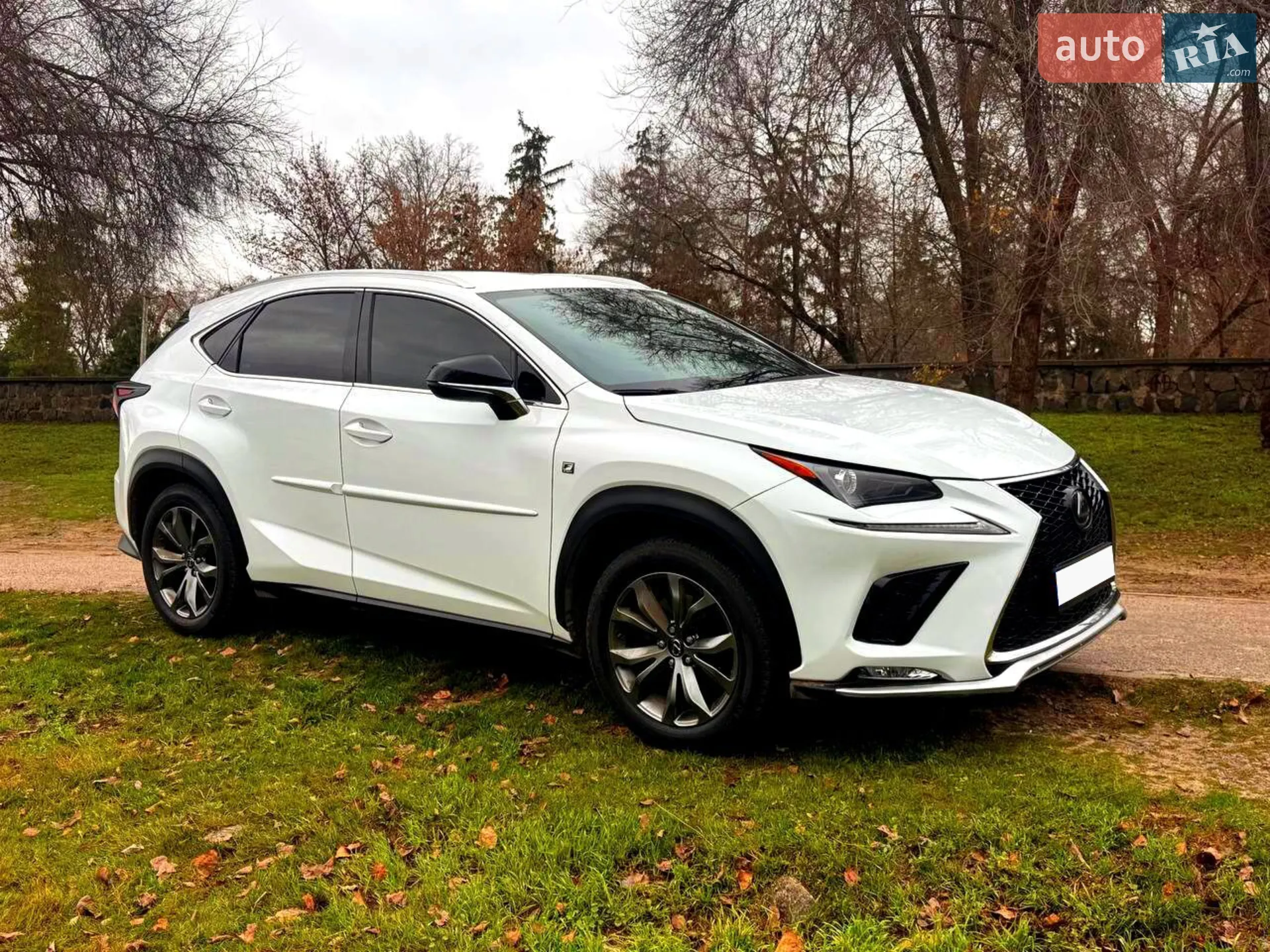 Lexus NX 2018