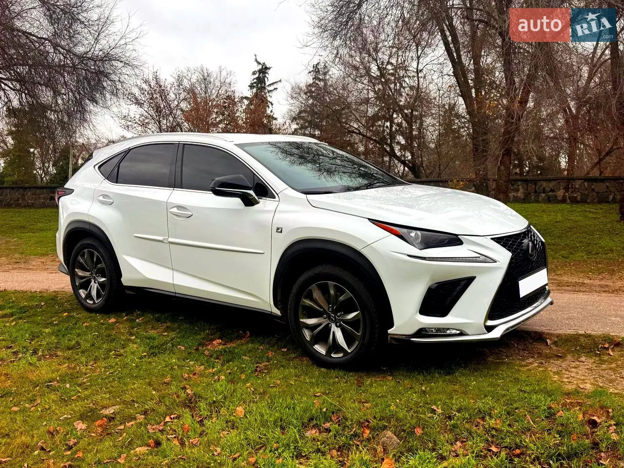 2019 Lexus NX - мініатюра 24