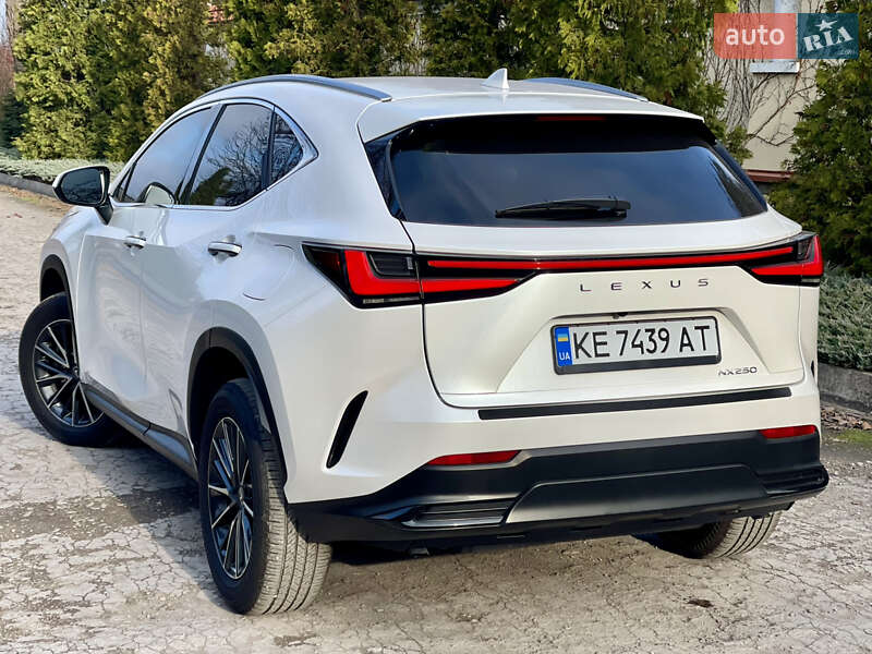 Внедорожник / Кроссовер Lexus NX 2024 в Каменском фото 5 Внедорожник / Кроссовер Lexus NX 2024 в Каменском