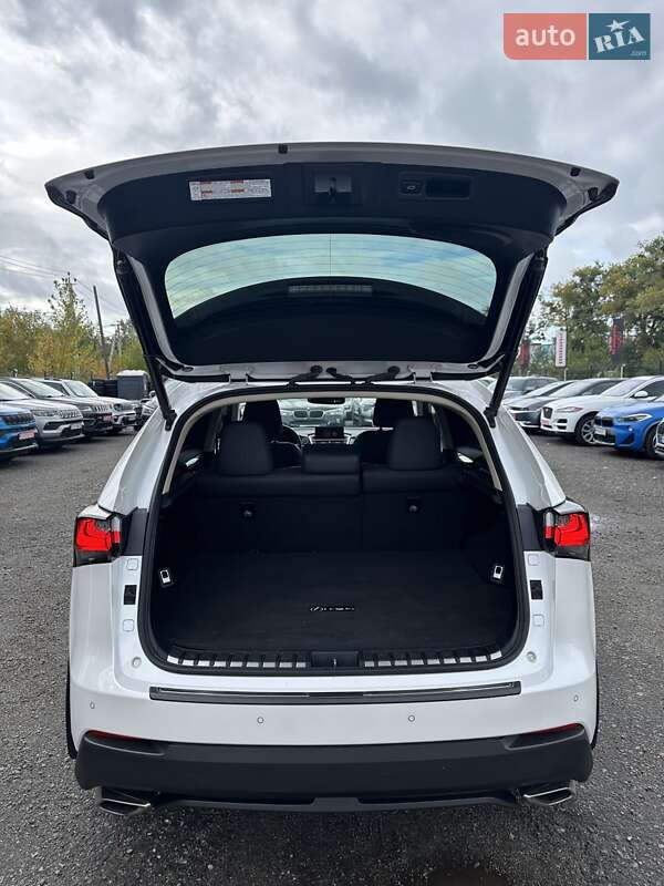 Внедорожник / Кроссовер Lexus NX 2017 в Белогородке фото 14 Внедорожник / Кроссовер Lexus NX 2017 в Белогородке