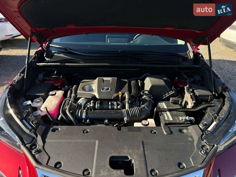 Внедорожник / Кроссовер Lexus NX 2021 в Одессе фото 34 Внедорожник / Кроссовер Lexus NX 2021 в Одессе