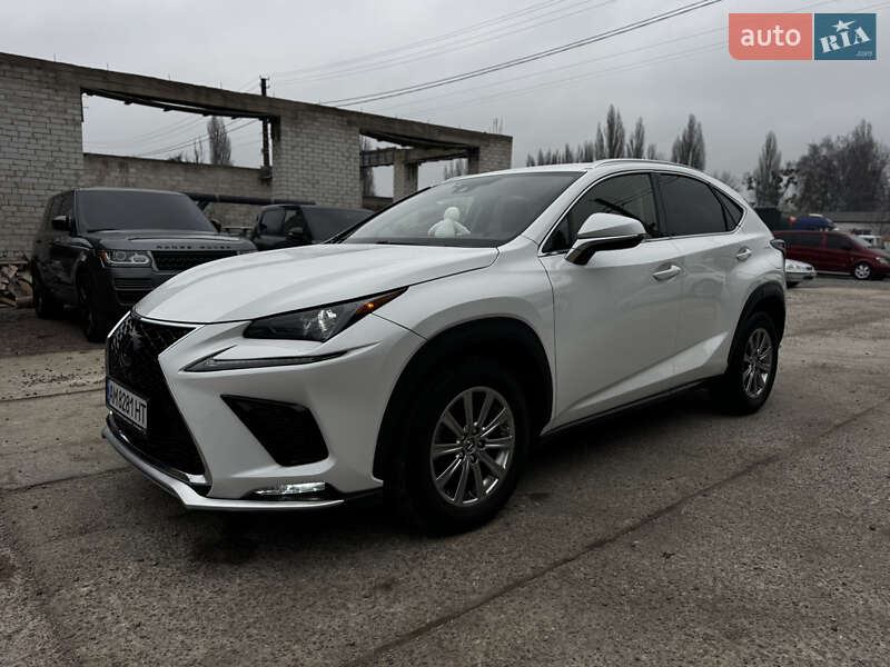 Позашляховик / Кросовер Lexus NX 2021 в Житомирі фото 3 Позашляховик / Кросовер Lexus NX 2021 в Житомирі