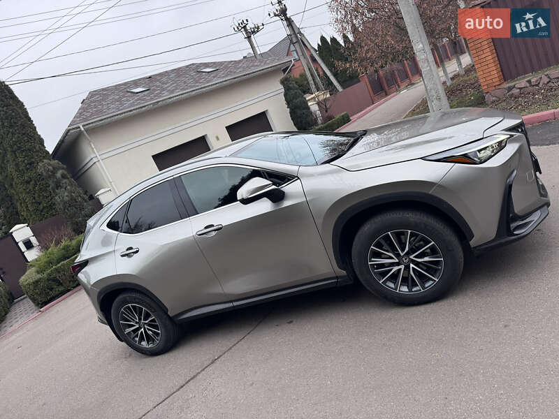 Внедорожник / Кроссовер Lexus NX 2022 в Киеве фото 12 Внедорожник / Кроссовер Lexus NX 2022 в Киеве