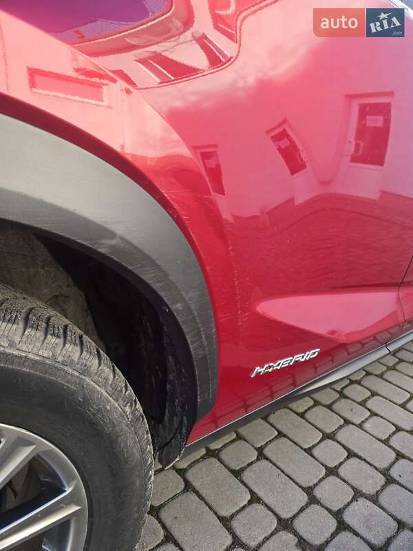 Внедорожник / Кроссовер Lexus NX 2020 в Львове фото 8 Внедорожник / Кроссовер Lexus NX 2020 в Львове