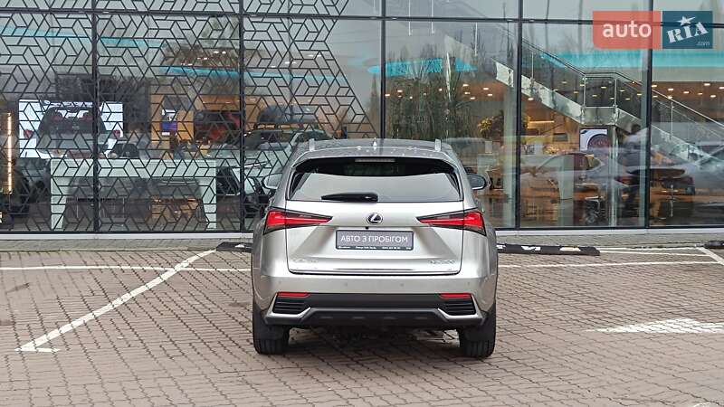 Внедорожник / Кроссовер Lexus NX 2020 в Киеве фото 4 Внедорожник / Кроссовер Lexus NX 2020 в Киеве
