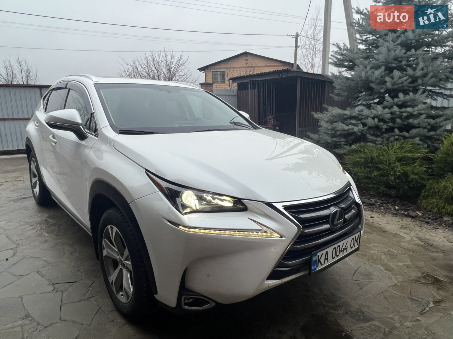 2016 Lexus NX - мініатюра 2