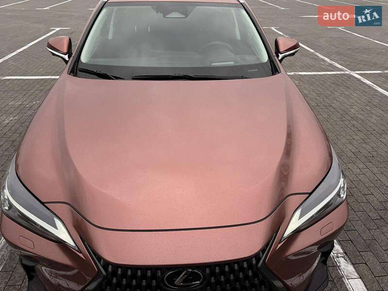 Внедорожник / Кроссовер Lexus NX 2024 в Одессе