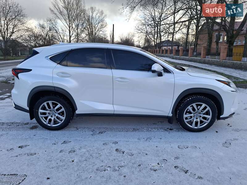 Внедорожник / Кроссовер Lexus NX 2019 в Краснограде