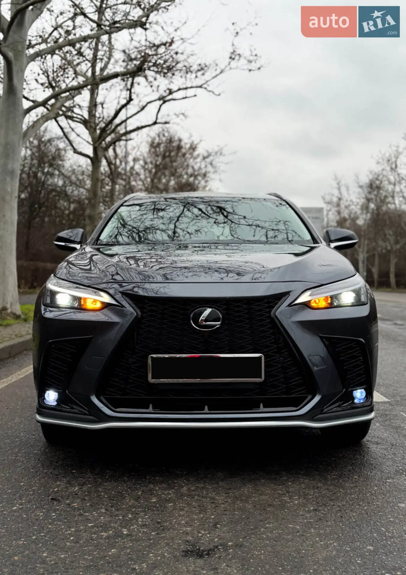 2023 Lexus NX - мініатюра 5