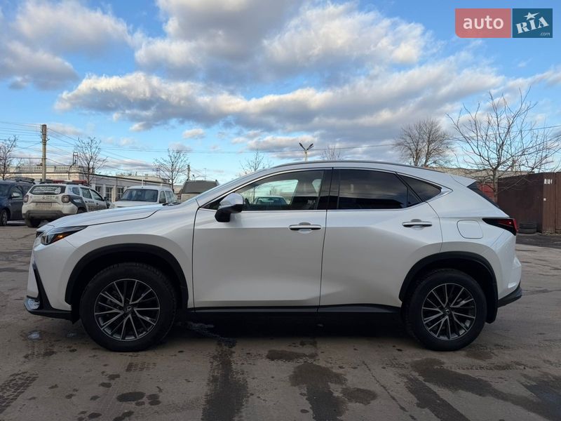 Позашляховик / Кросовер Lexus NX 2024 в Харкові