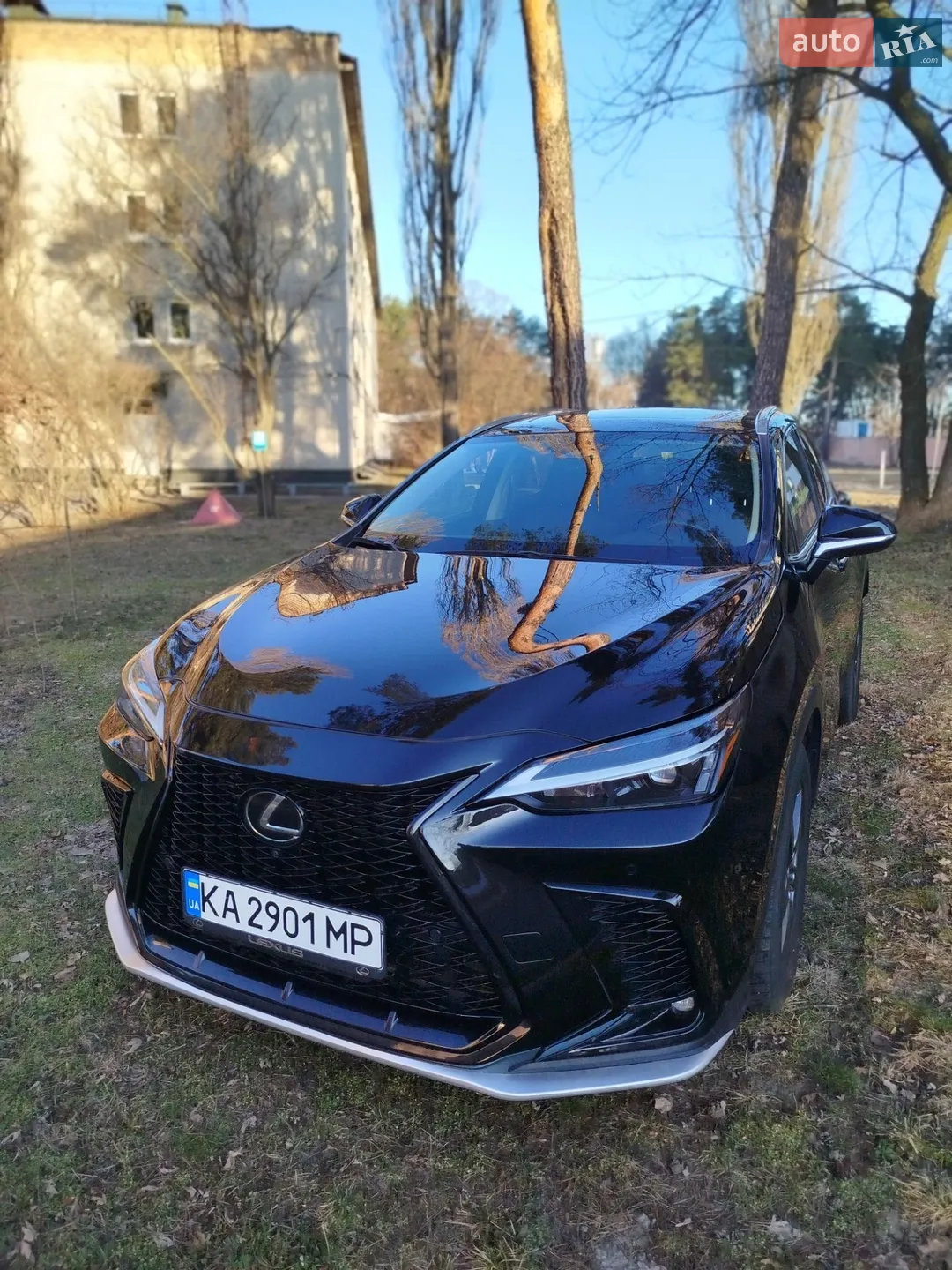2023 Lexus NX - мініатюра 7