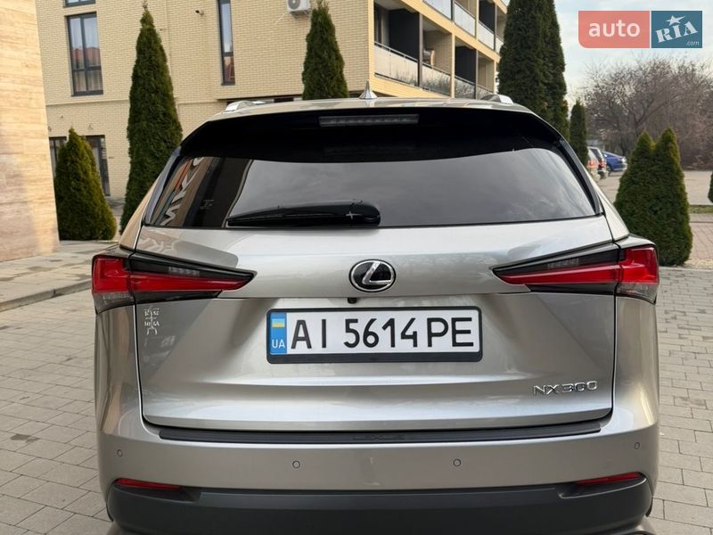 Позашляховик / Кросовер Lexus NX 2020 в Ужгороді фото 2 Позашляховик / Кросовер Lexus NX 2020 в Ужгороді