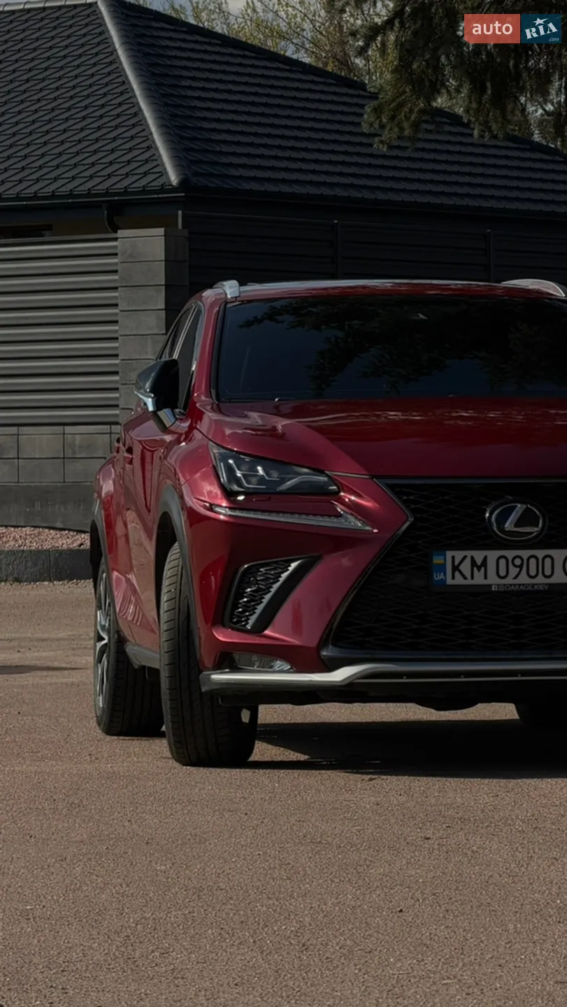 2018 Lexus NX - мініатюра 2
