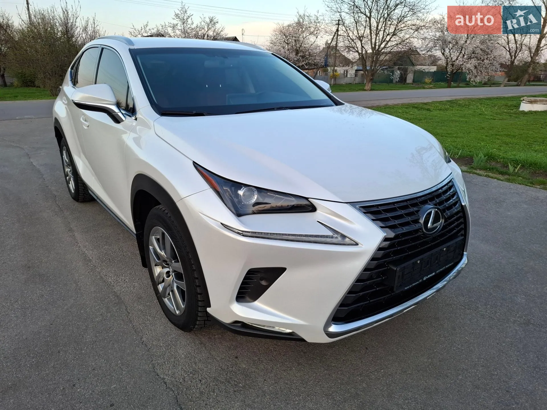 2019 Lexus NX - фото 1