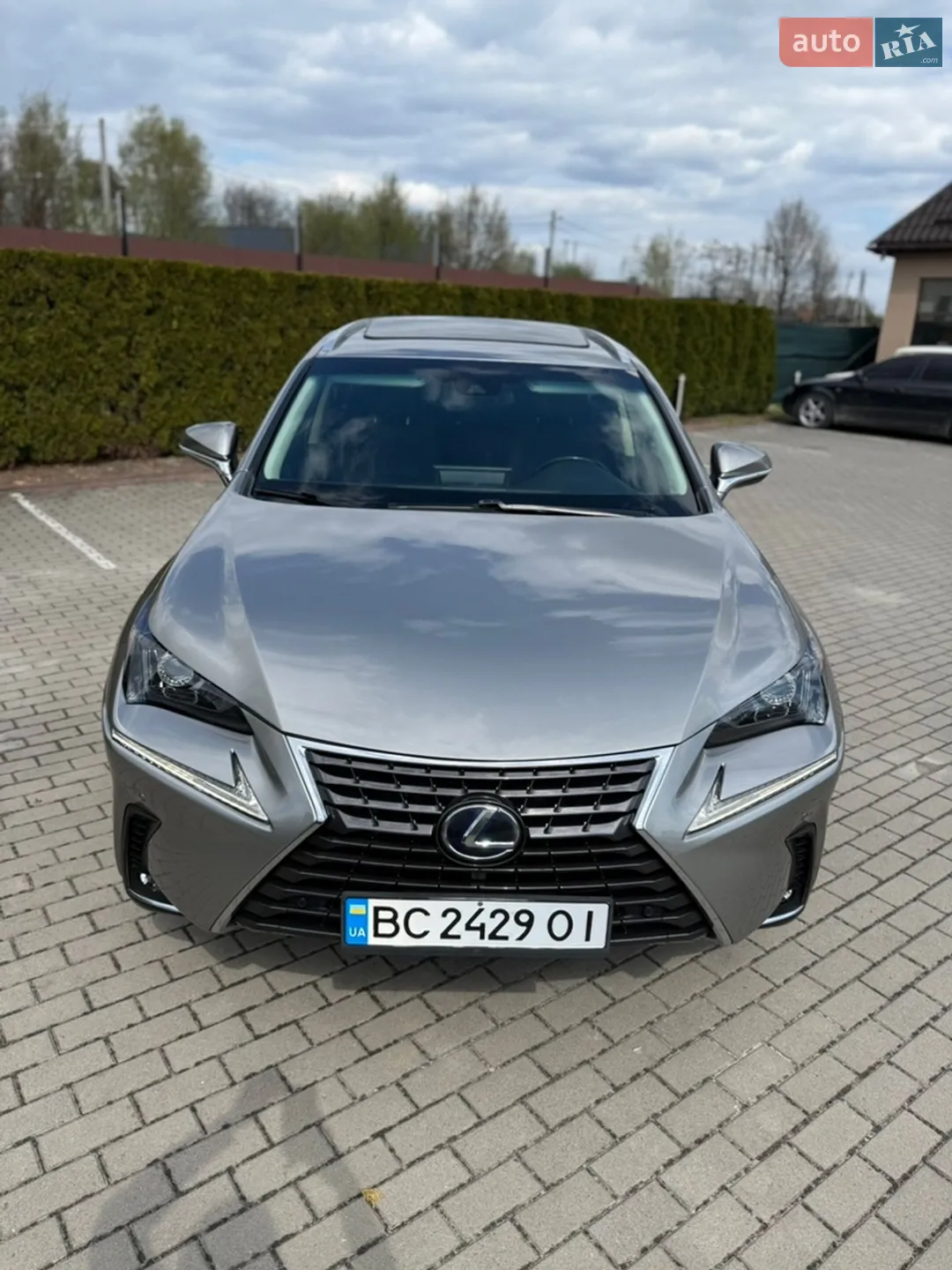 2018 Lexus NX - мініатюра 4