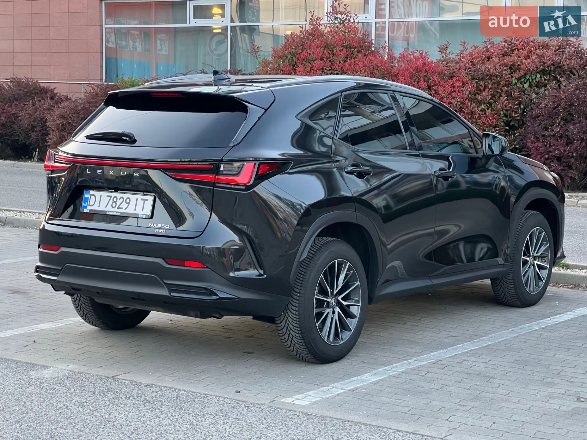 2023 Lexus NX - мініатюра 18