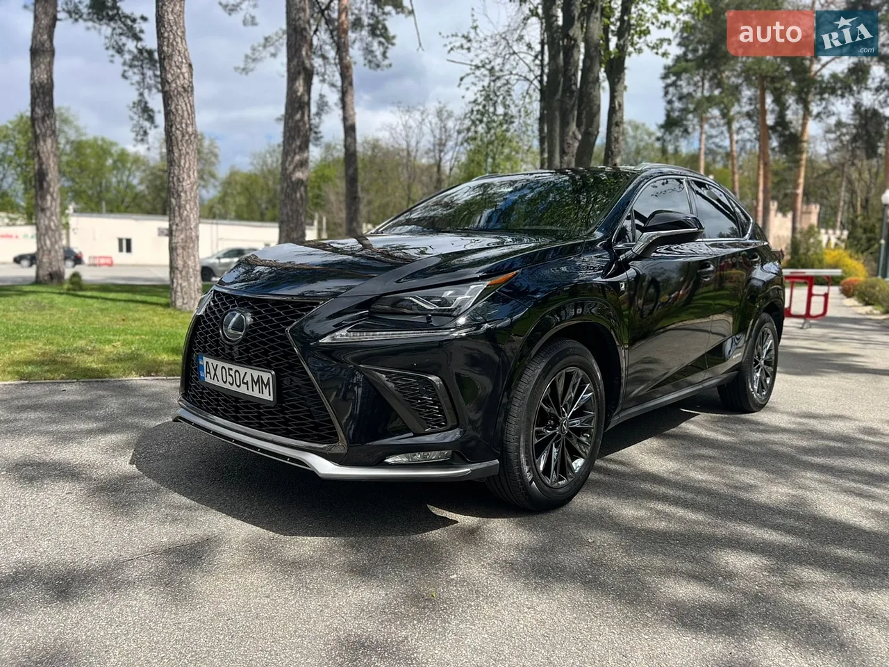 2019 Lexus NX - мініатюра 11