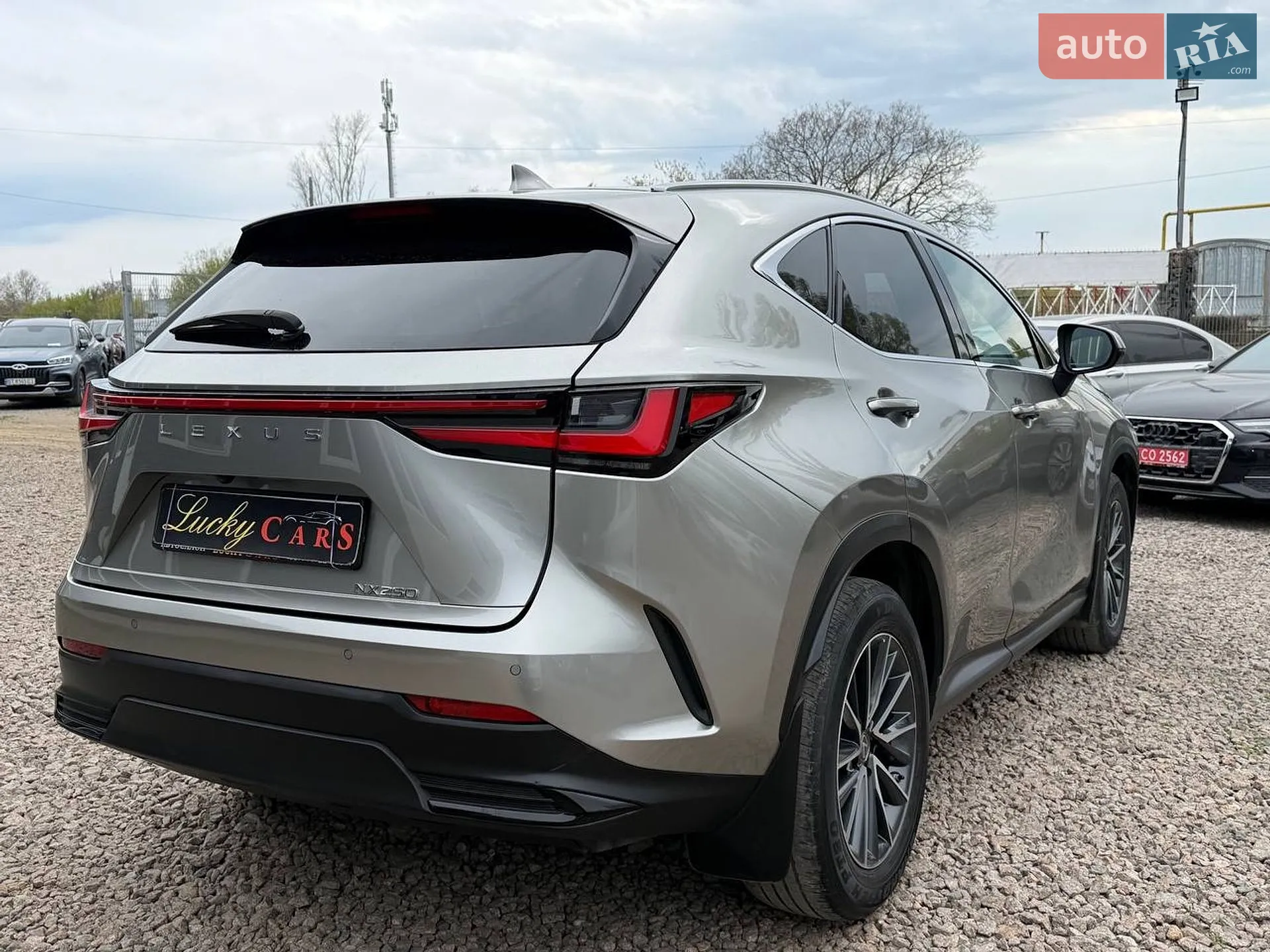 2021 Lexus NX - мініатюра 5