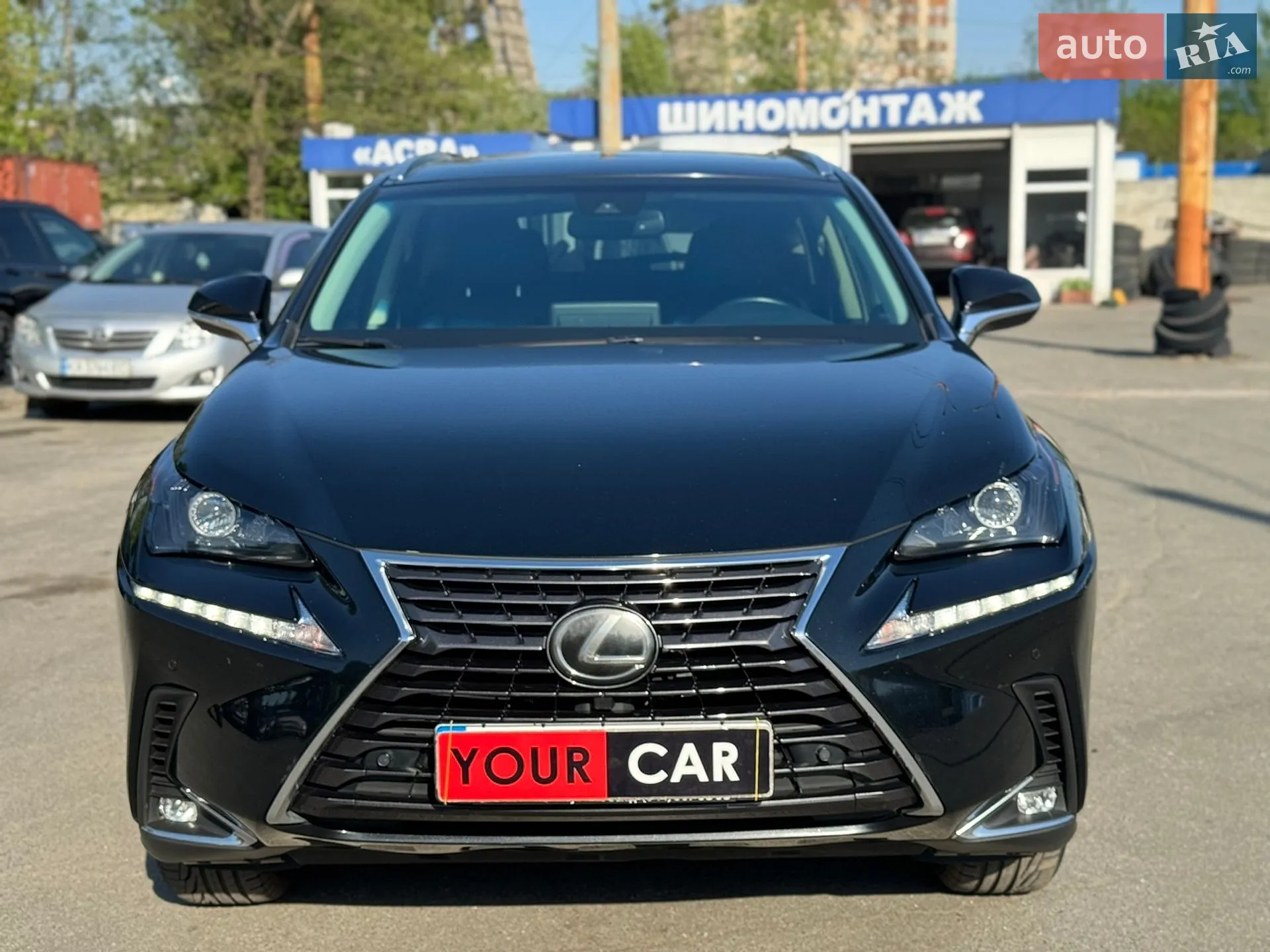 2019 Lexus NX - мініатюра 2