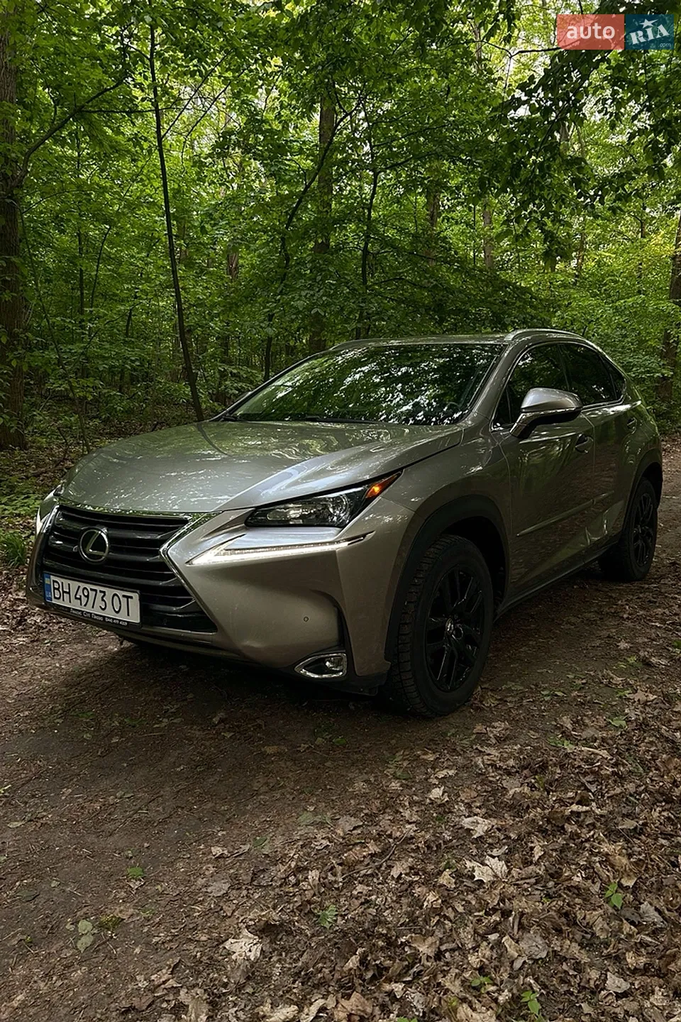 2014 Lexus NX - мініатюра 3