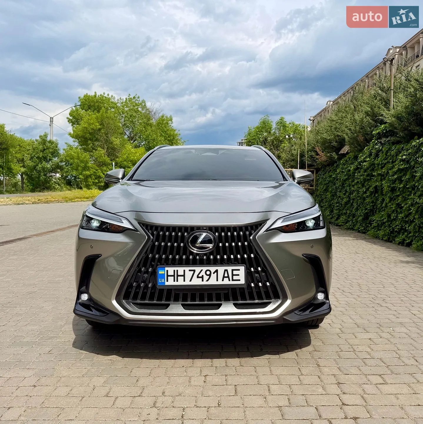 2025 Lexus NX - мініатюра 13