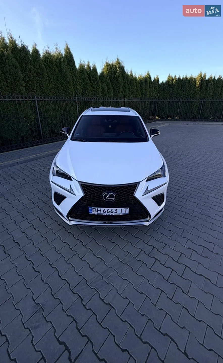 2021 Lexus NX - мініатюра 2