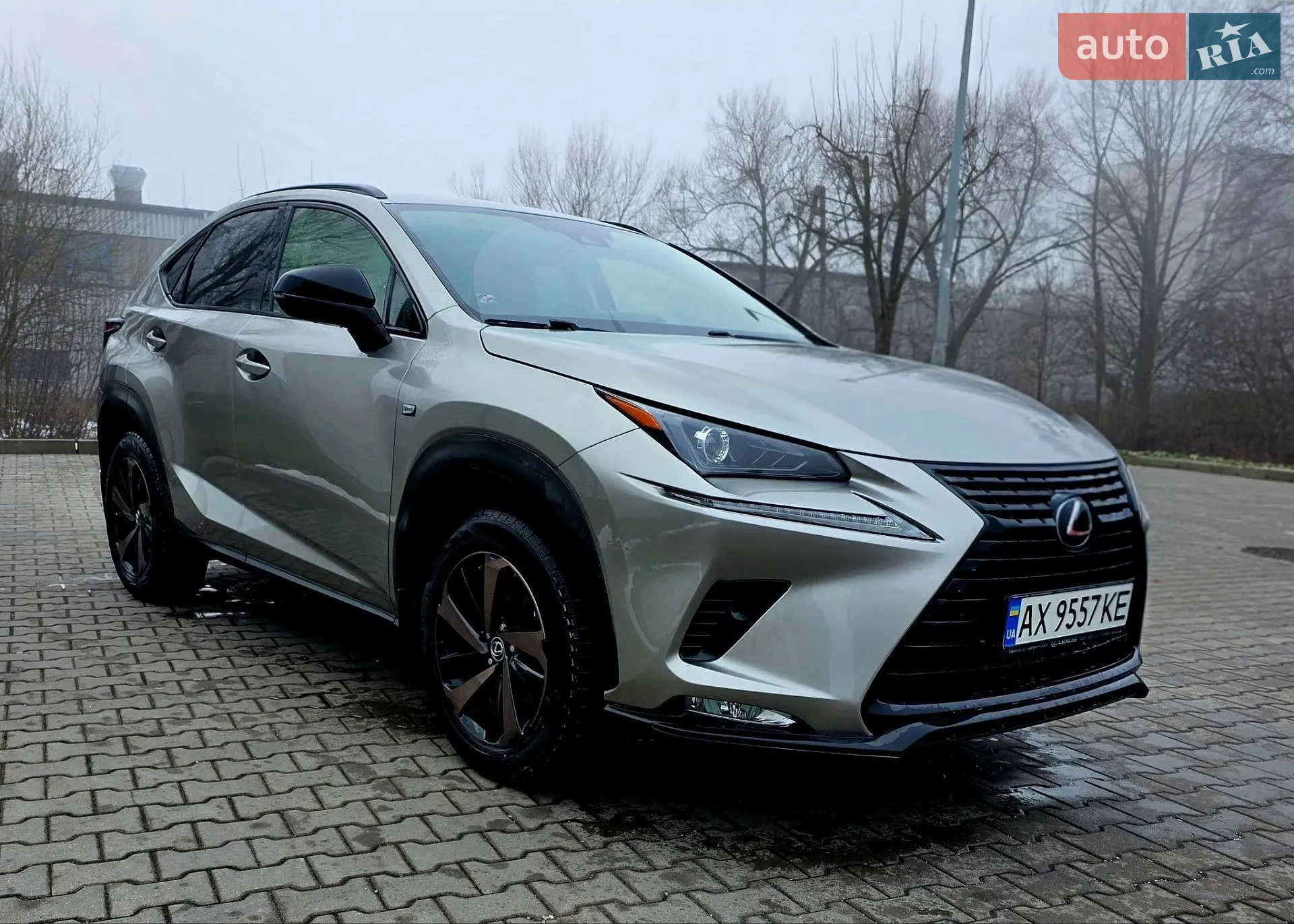 2021 Lexus NX - мініатюра 9