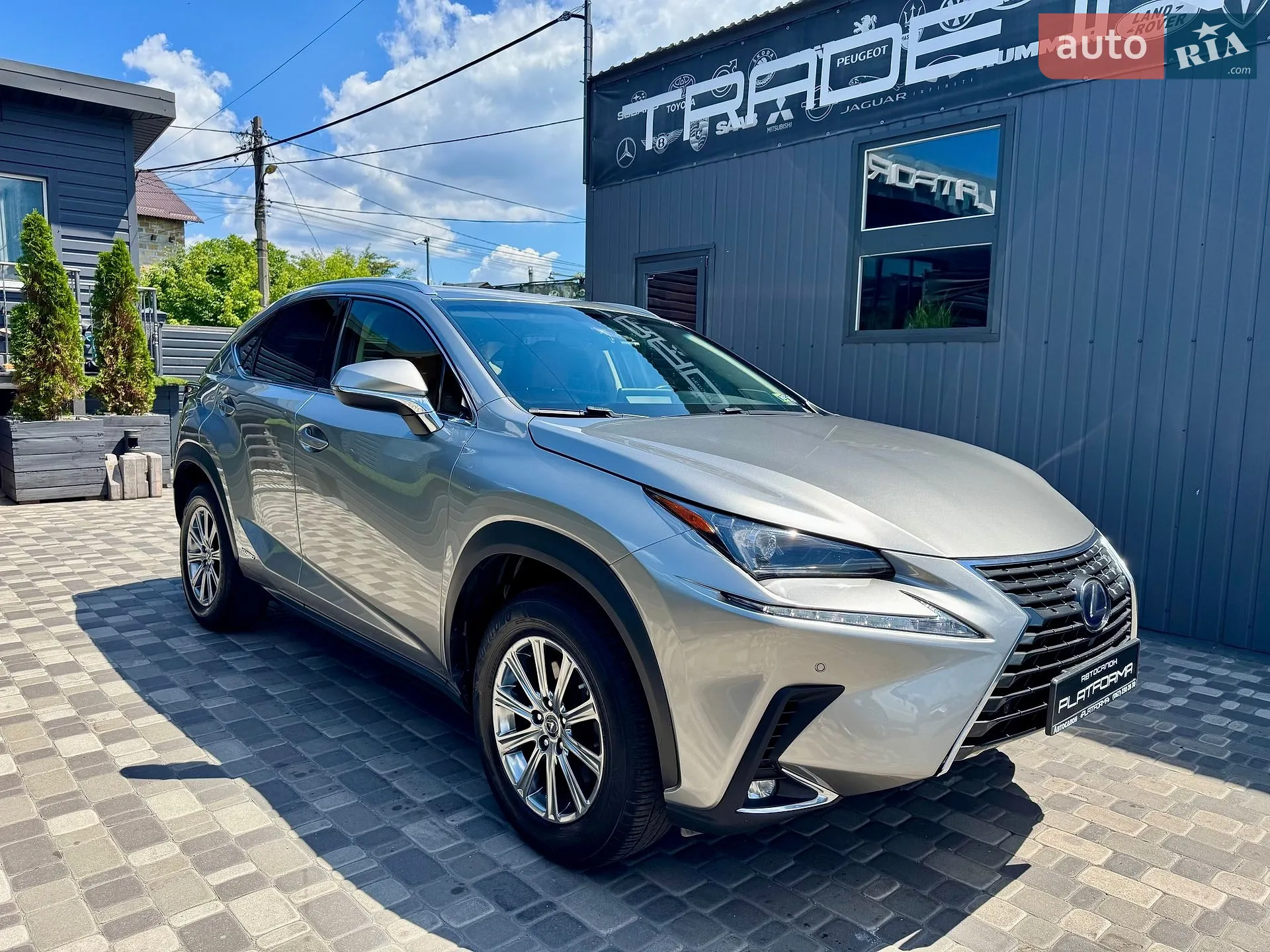 2019 Lexus NX - мініатюра 8