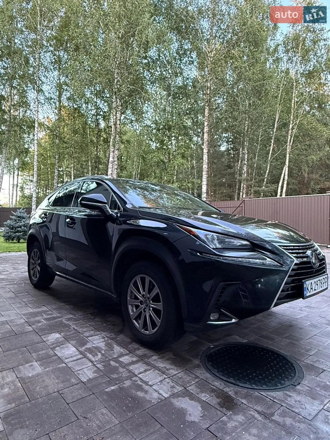 2021 Lexus NX - мініатюра 2