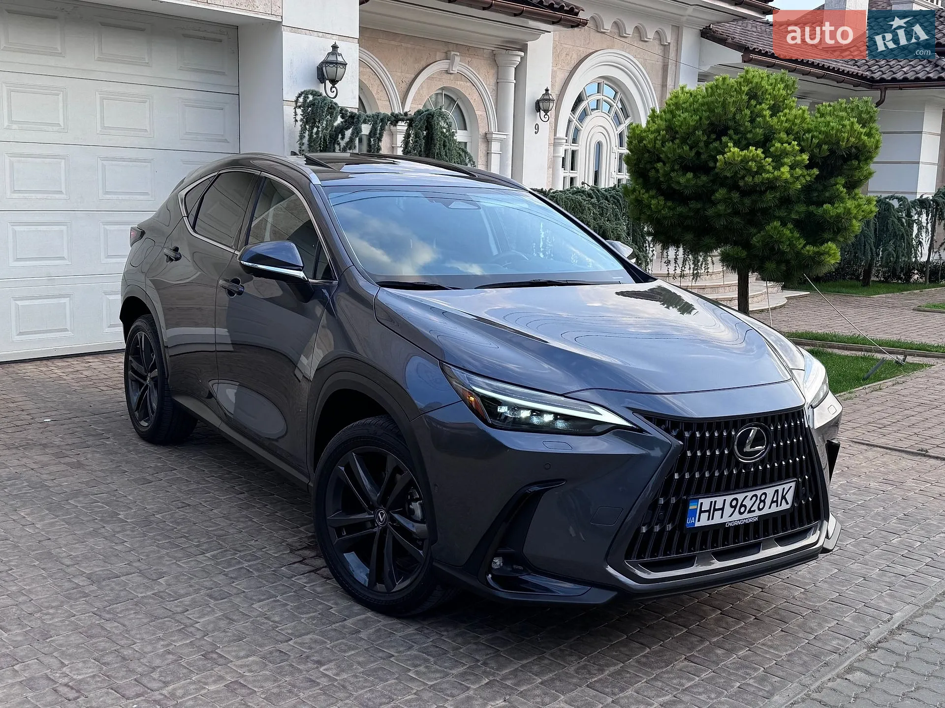 2022 Lexus NX - мініатюра 2