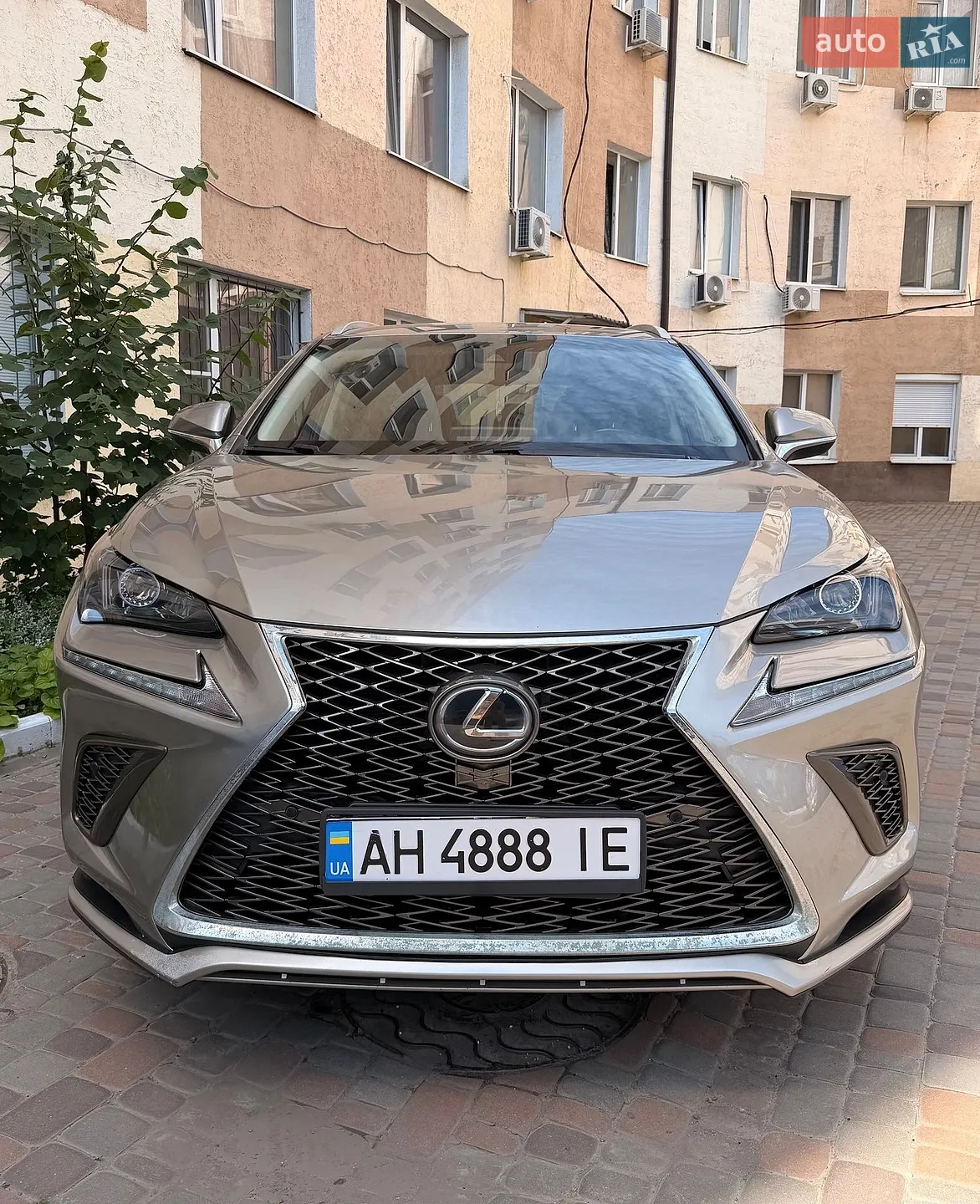 2018 Lexus NX - мініатюра 2