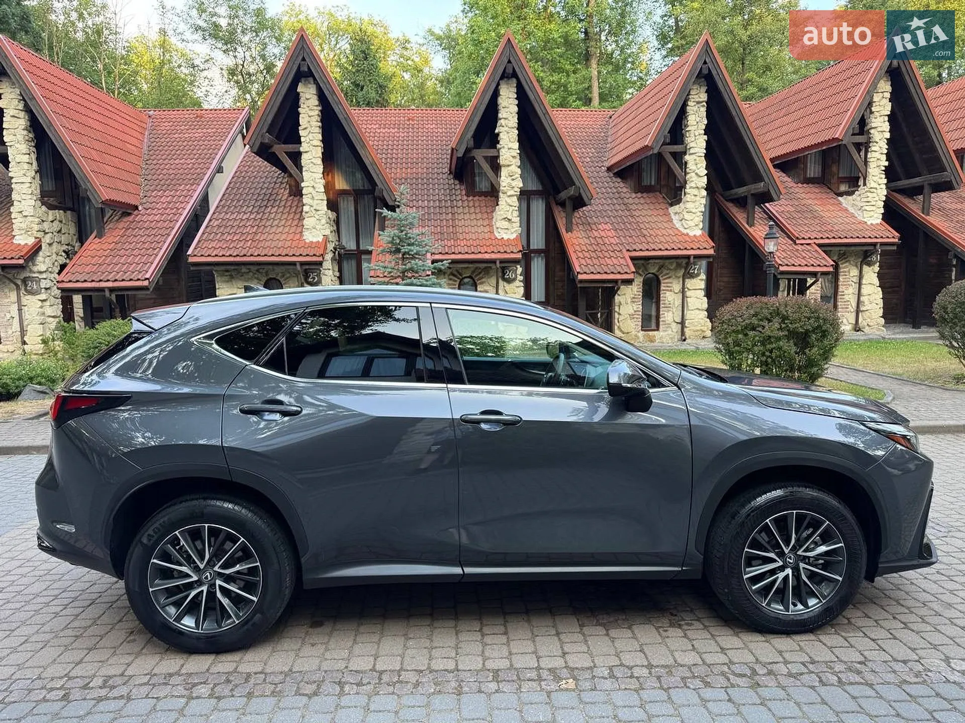 2024 Lexus NX - мініатюра 2