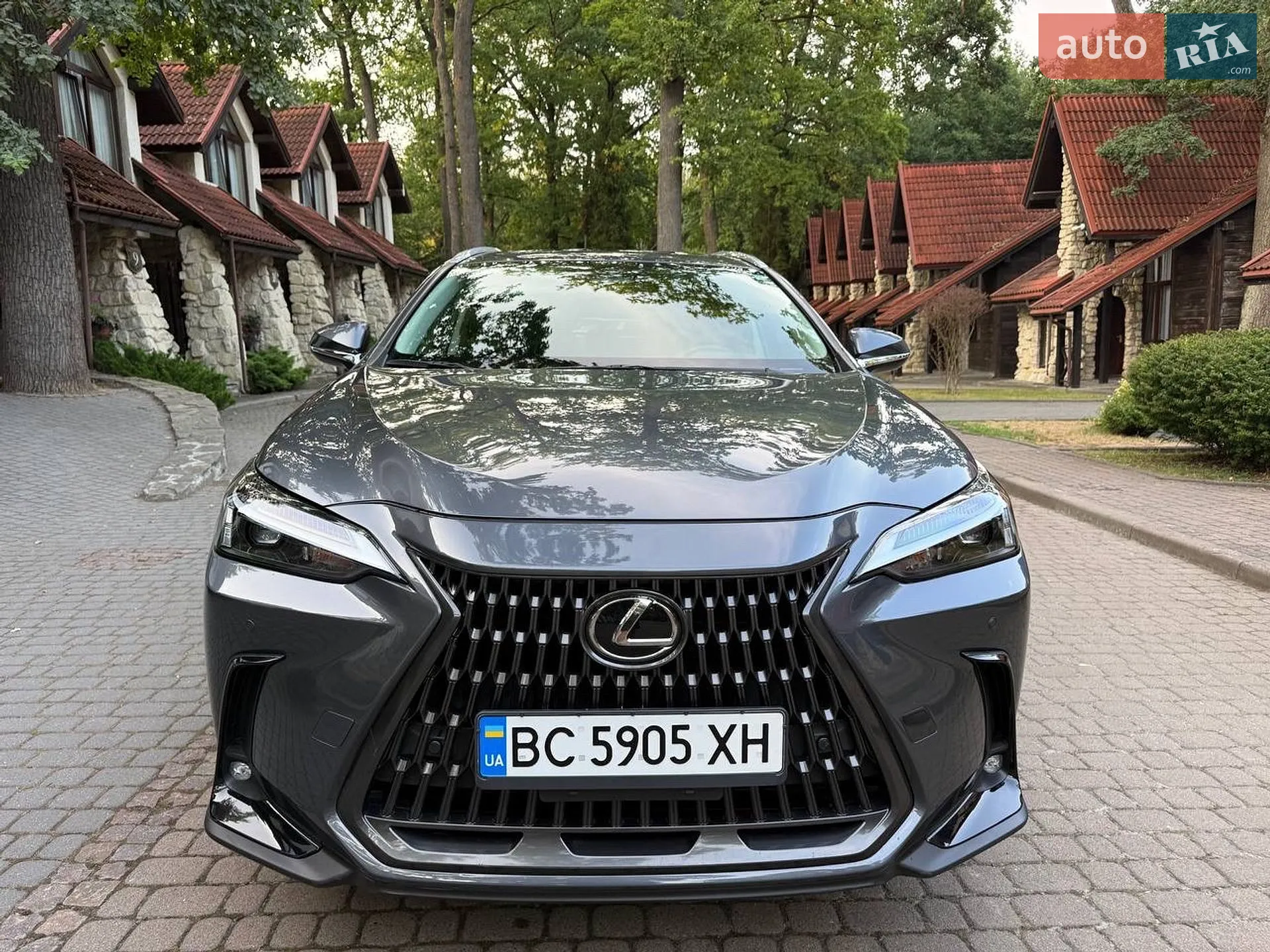 2024 Lexus NX - мініатюра 7