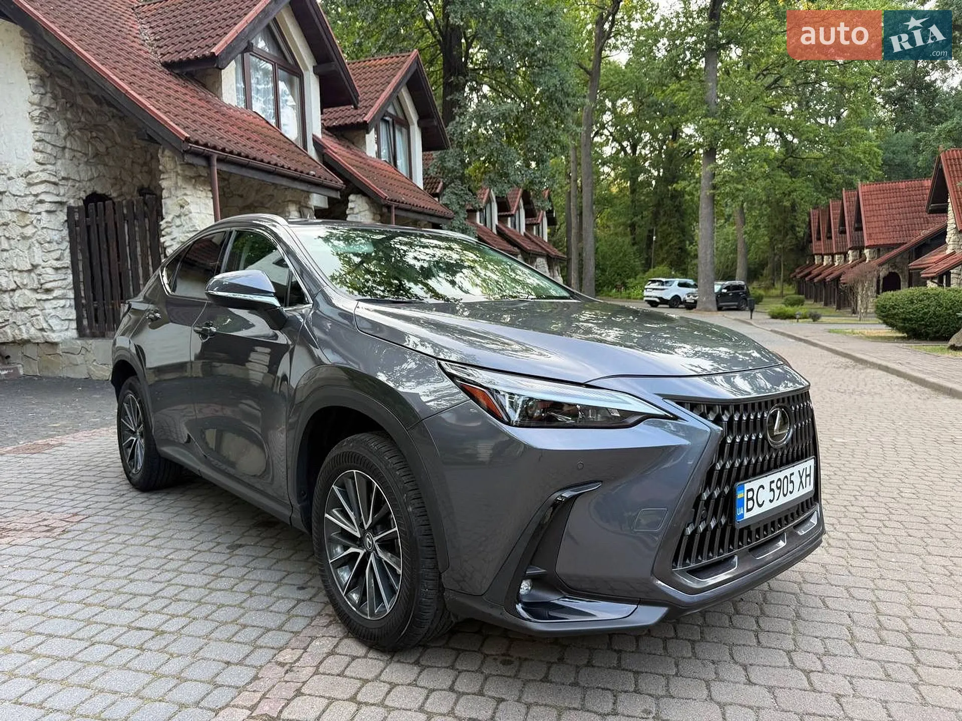 2024 Lexus NX - мініатюра 9