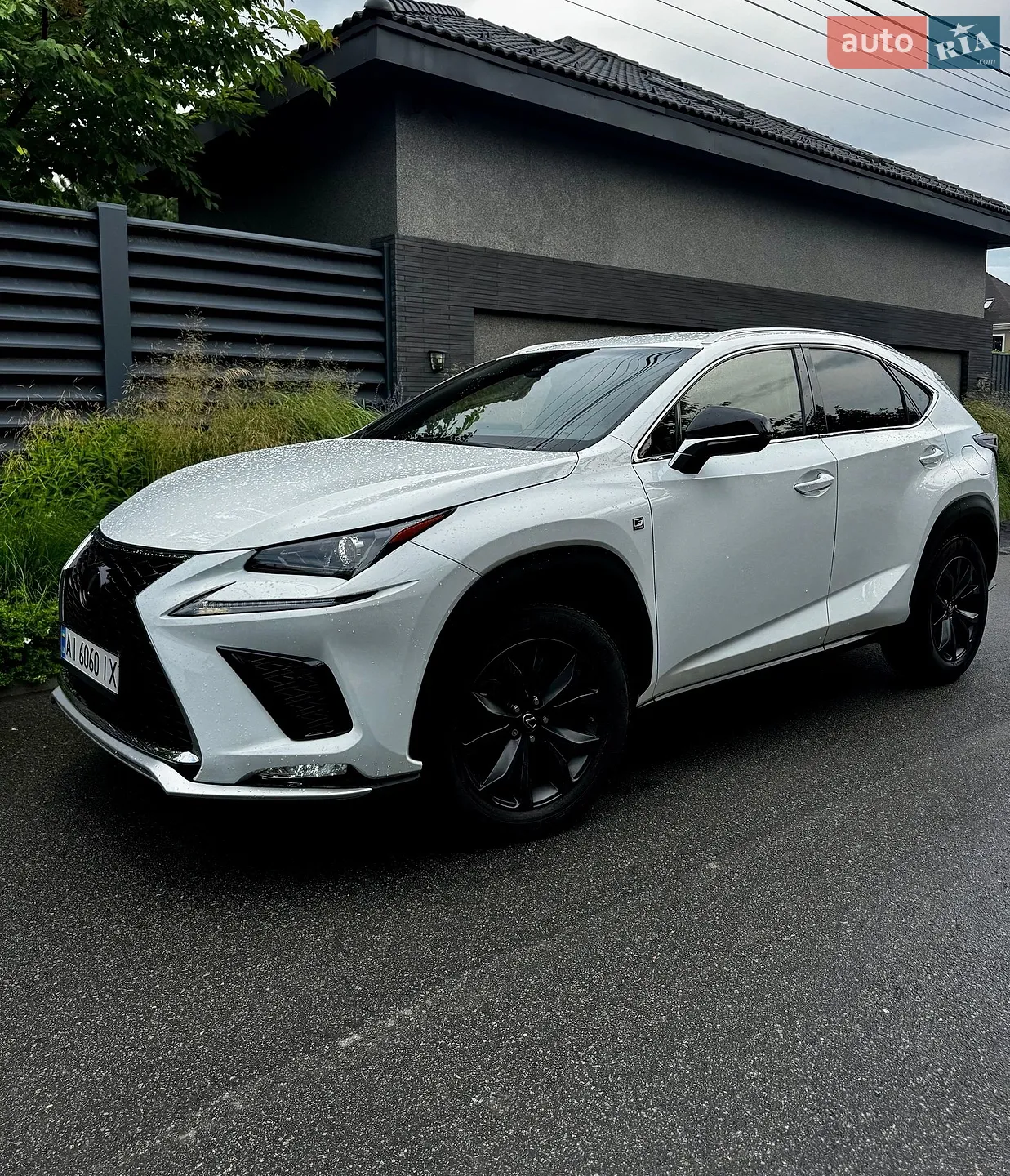 2021 Lexus NX - мініатюра 2