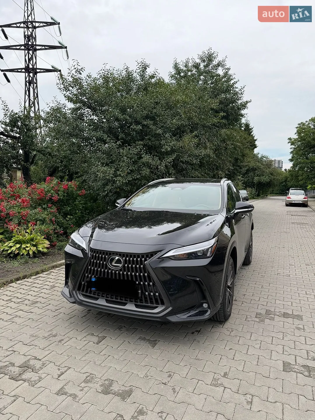 2023 Lexus NX - мініатюра 2
