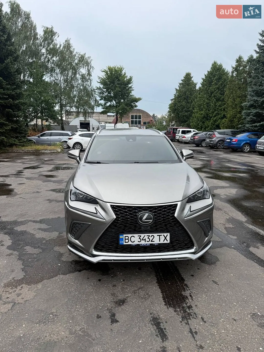 2019 Lexus NX - мініатюра 5