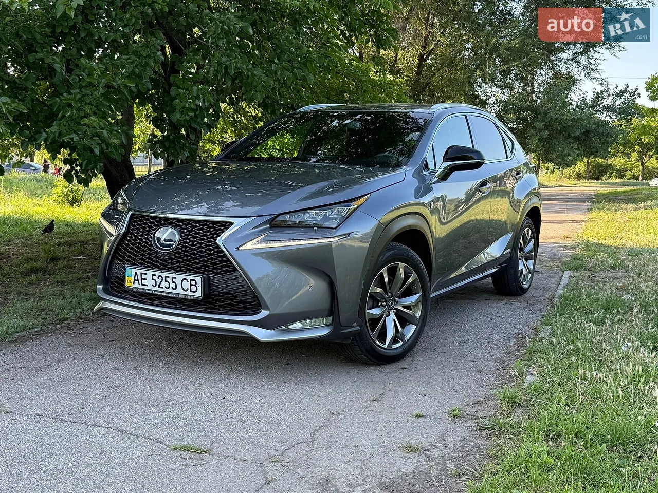 2014 Lexus NX - мініатюра 113