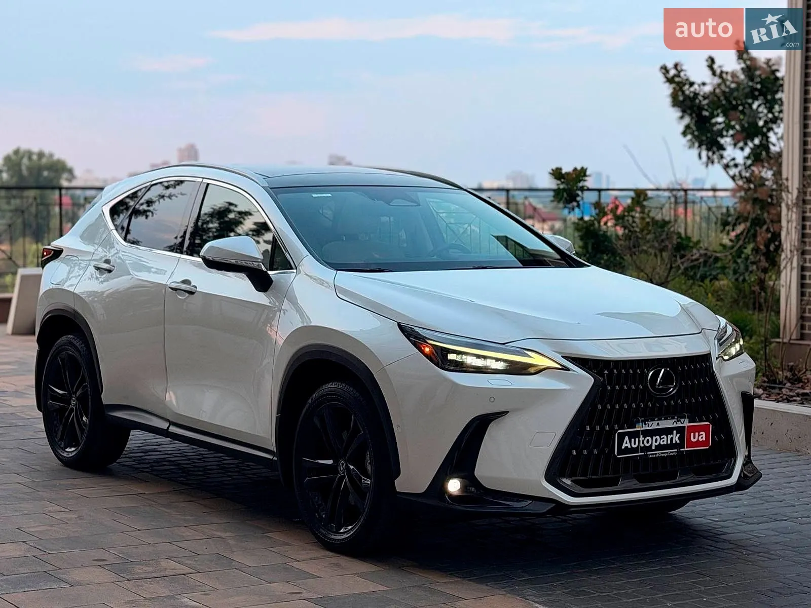 2024 Lexus NX - мініатюра 3