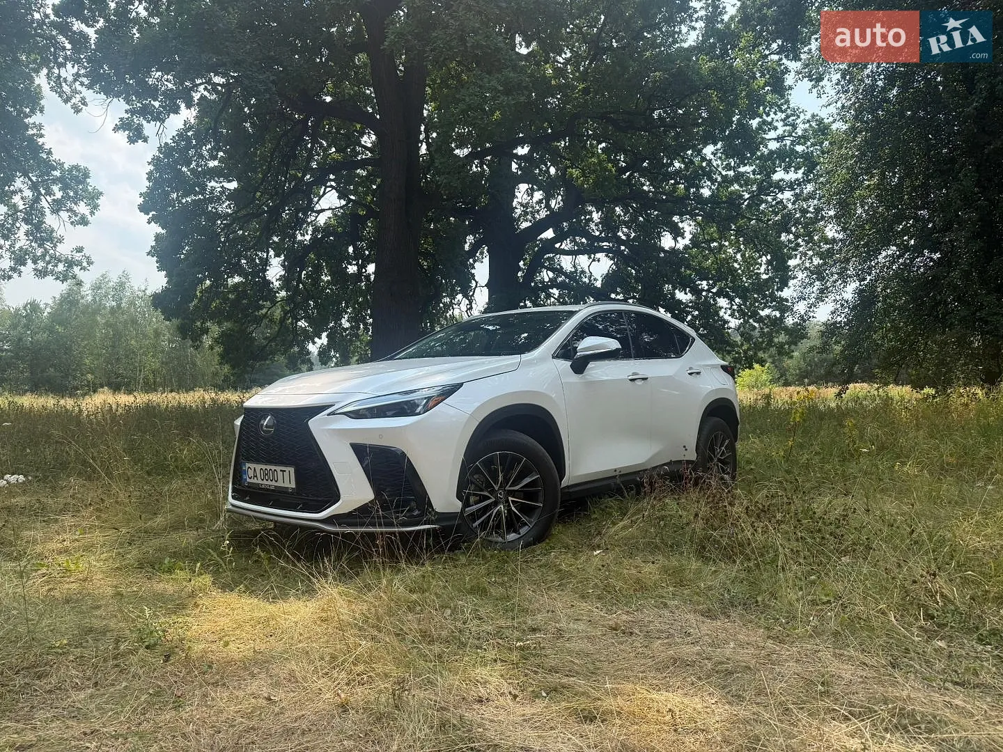 2022 Lexus NX - мініатюра 3