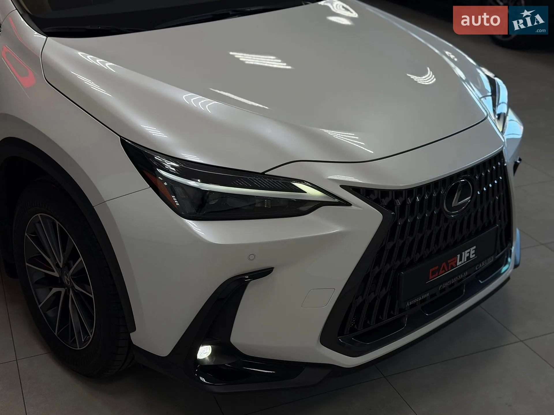 2024 Lexus NX - мініатюра 12