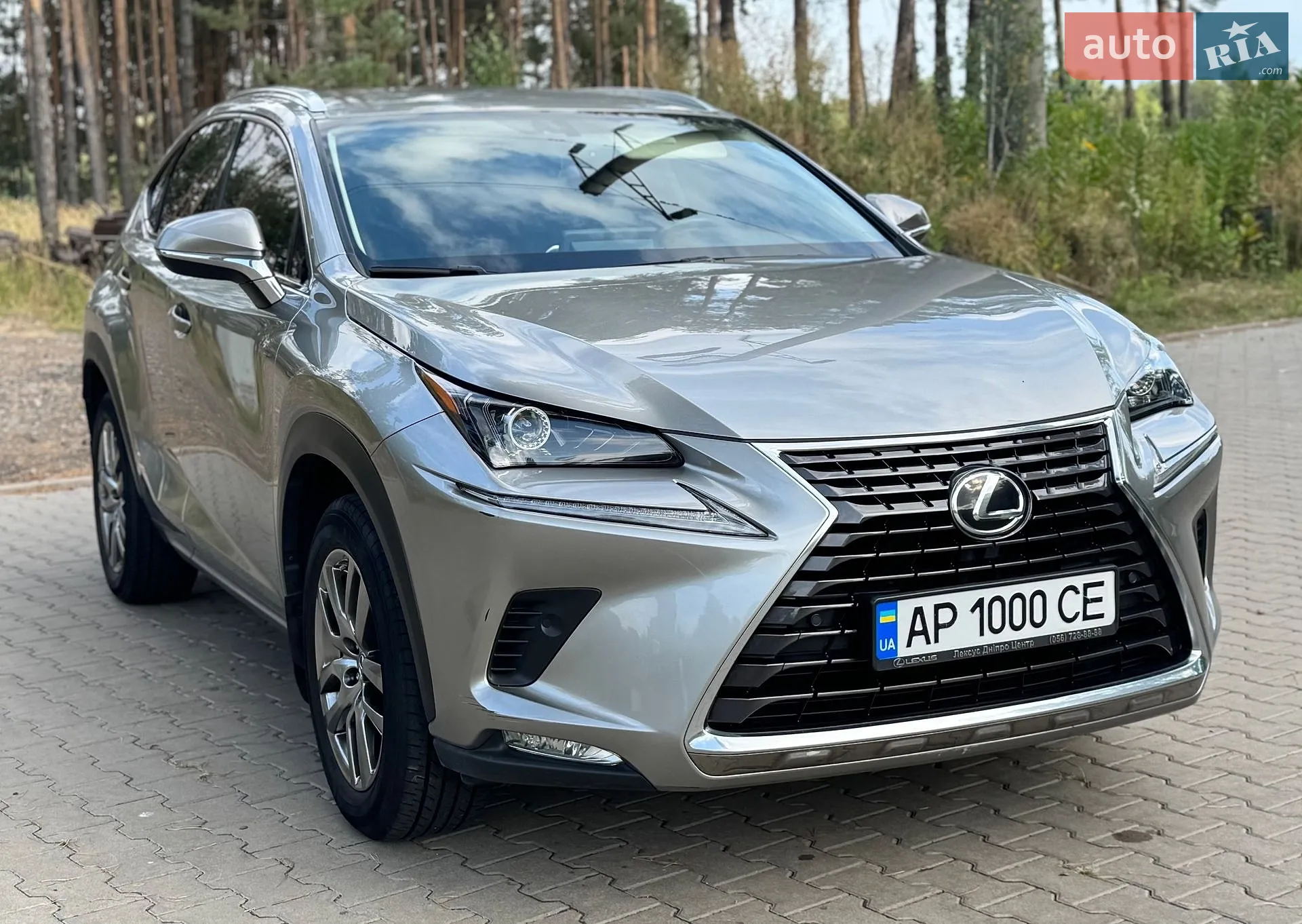 2019 Lexus NX - мініатюра 10
