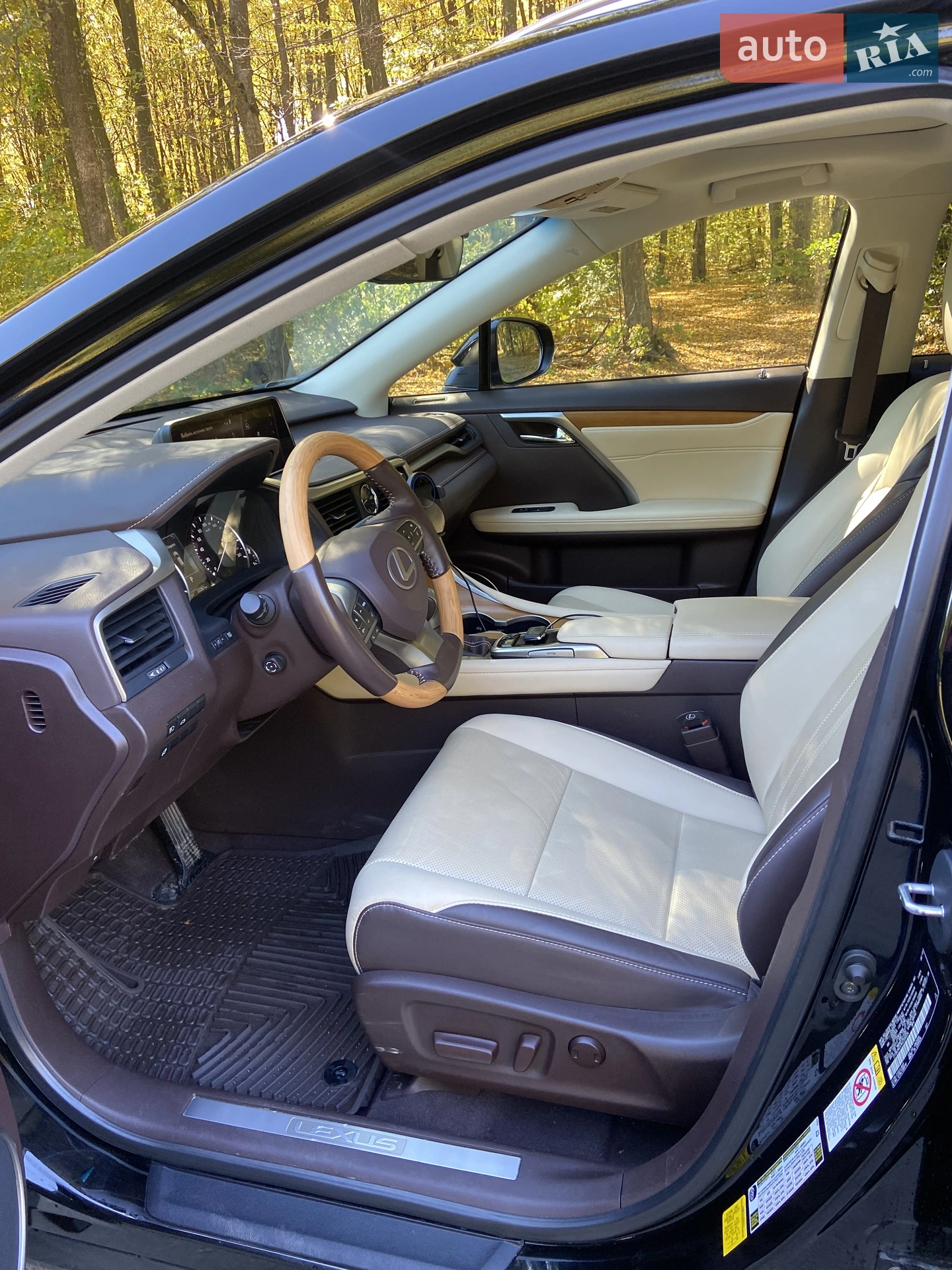 2019 Lexus RX - мініатюра 7