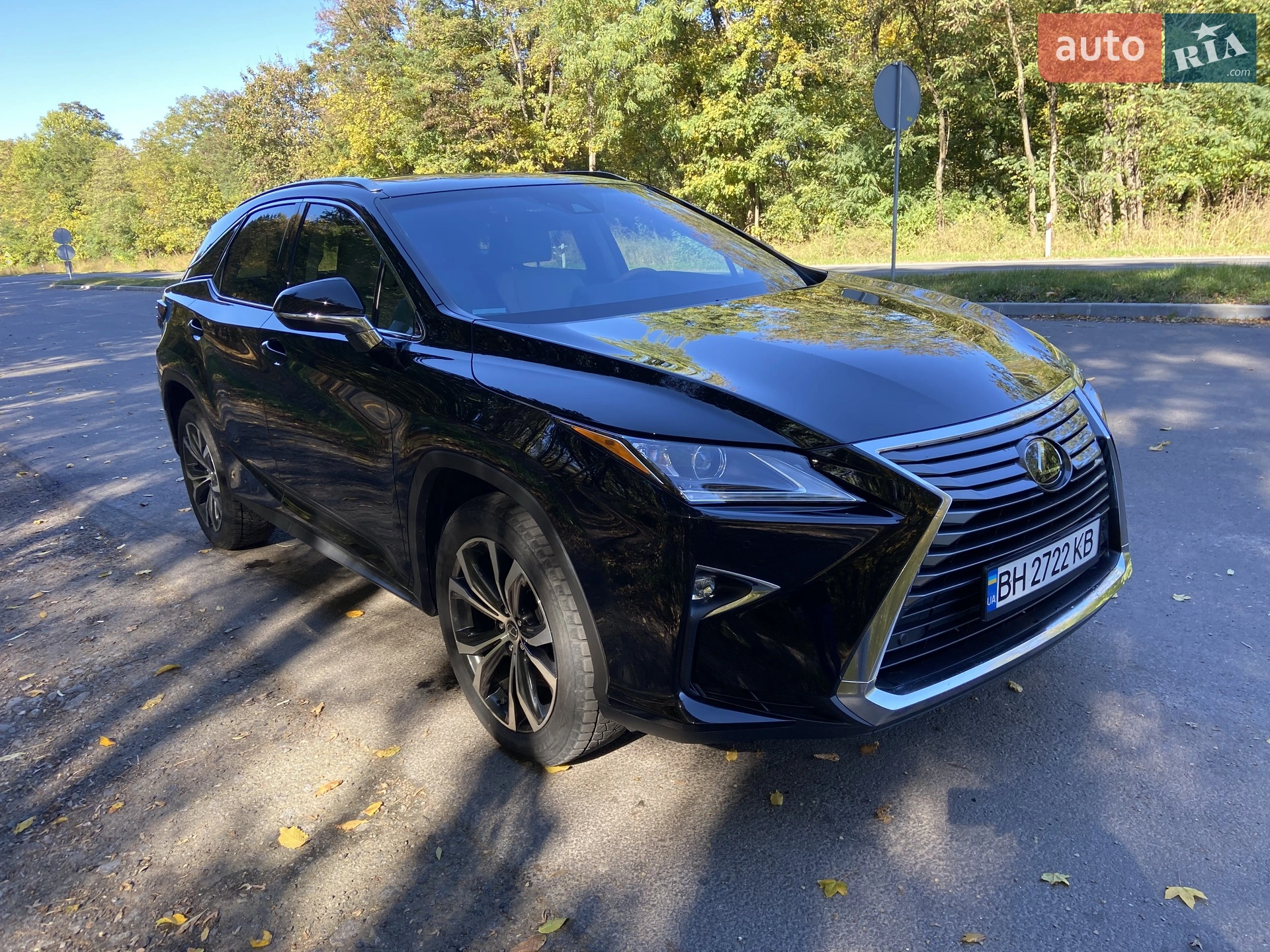 2019 Lexus RX - мініатюра 16