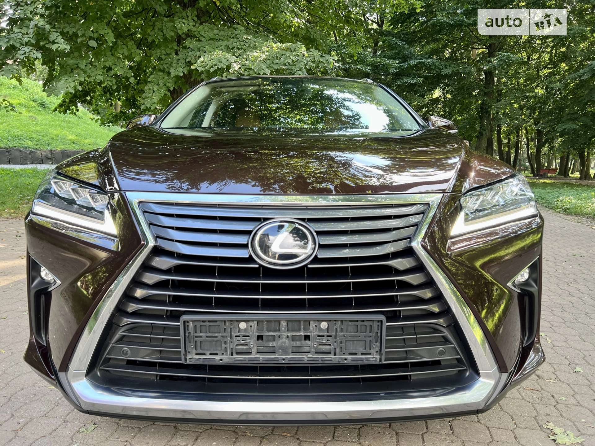 2019 Lexus RX - мініатюра 4