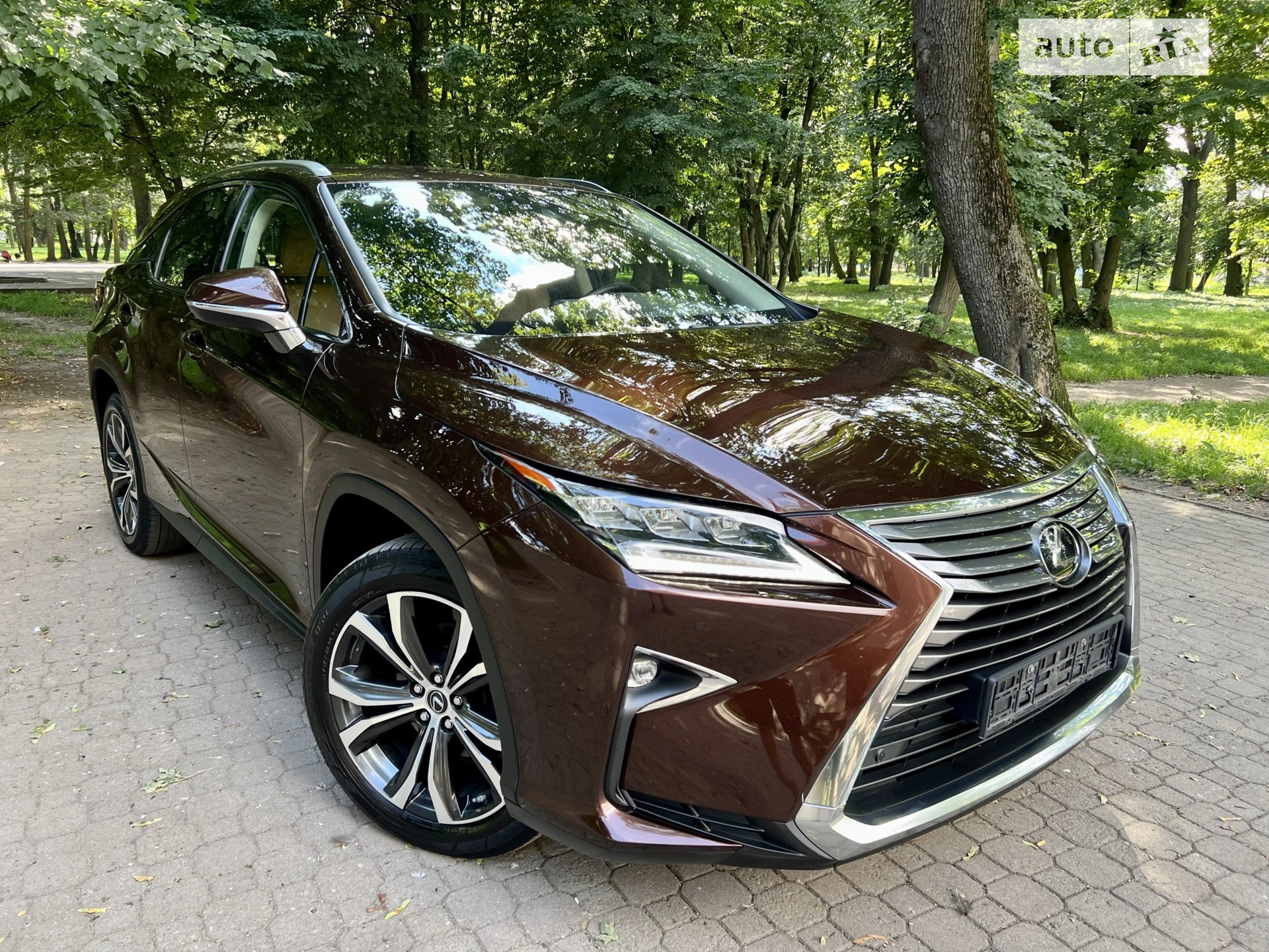 2019 Lexus RX - мініатюра 5