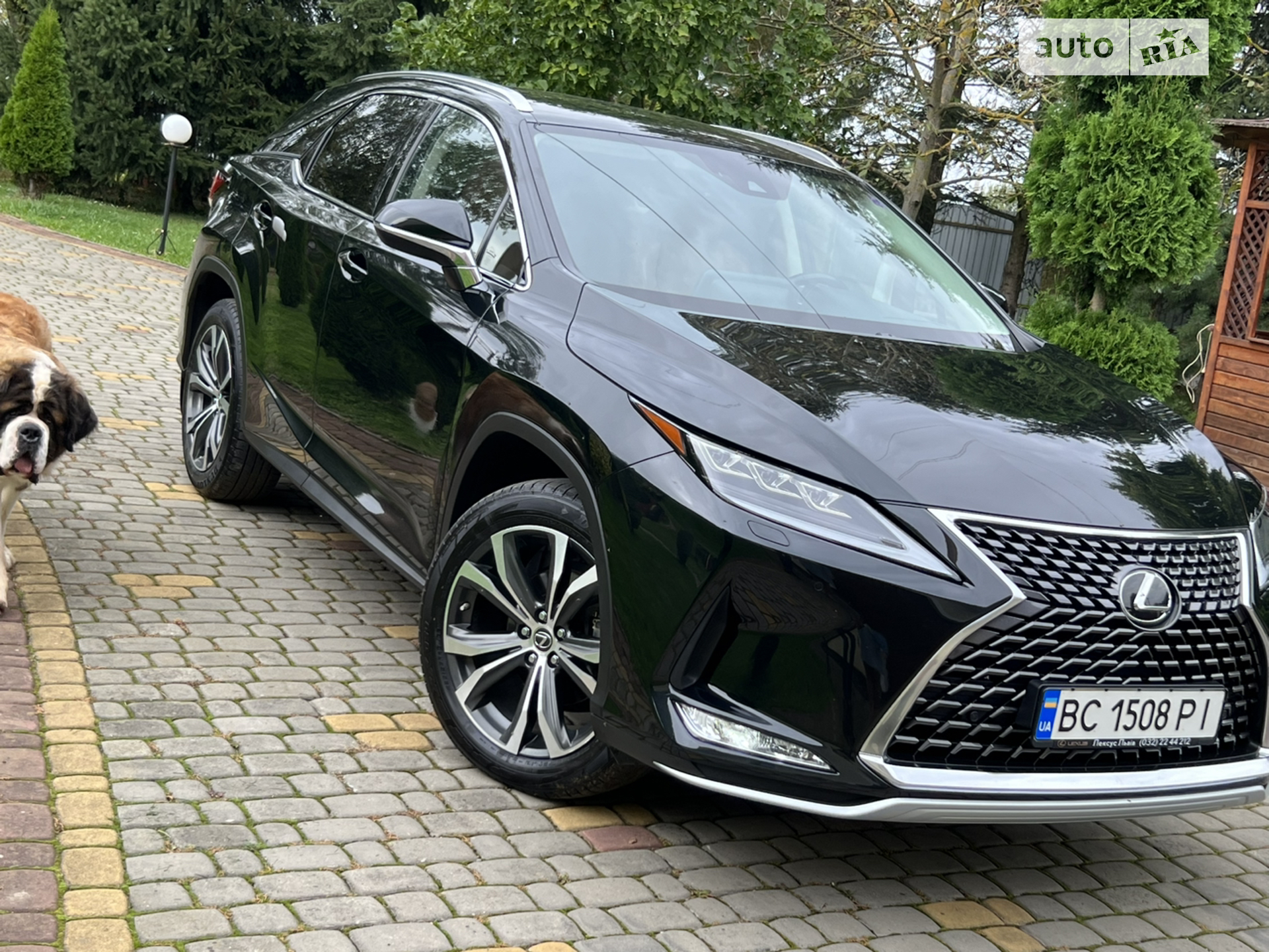 2019 Lexus RX - мініатюра 38
